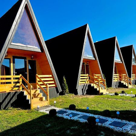 A-Frame Bucovina- Paradis Bucovinean Capu Cîmpului Dış mekan fotoğraf