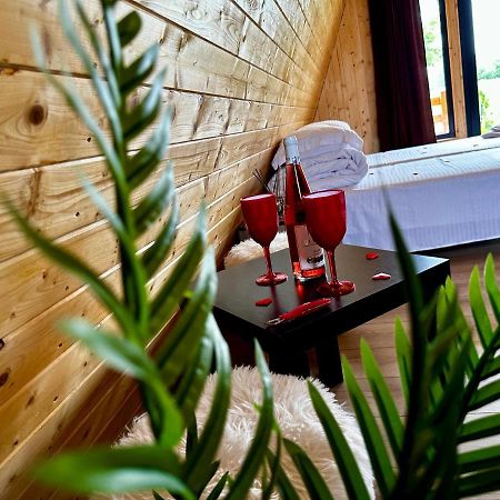 A-Frame Bucovina- Paradis Bucovinean Capu Cîmpului Dış mekan fotoğraf