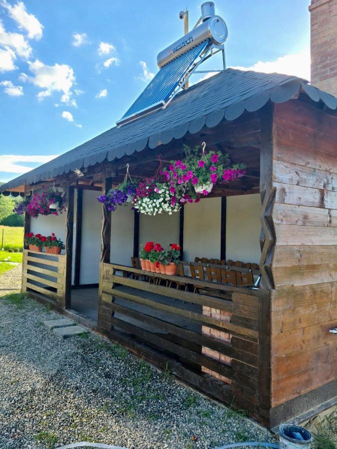 A-Frame Bucovina- Paradis Bucovinean Capu Cîmpului Dış mekan fotoğraf