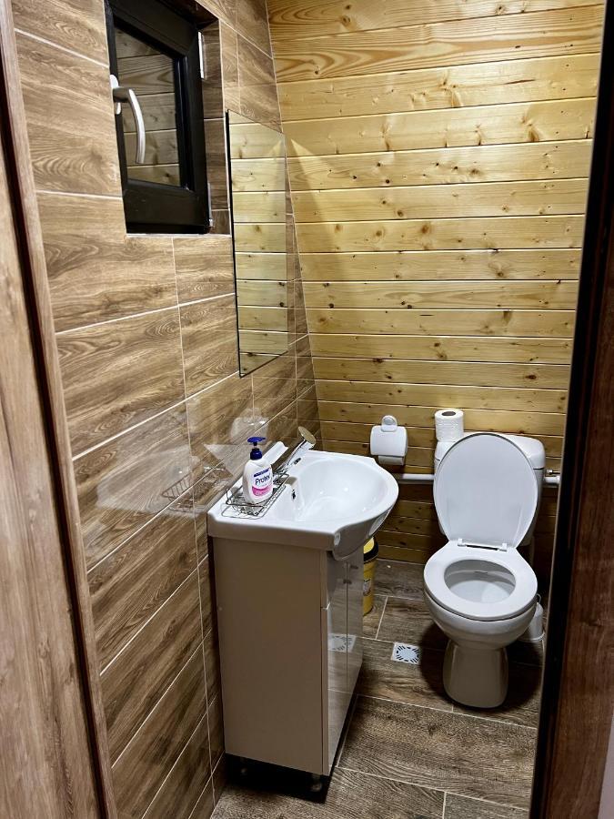 A-Frame Bucovina- Paradis Bucovinean Capu Cîmpului Dış mekan fotoğraf