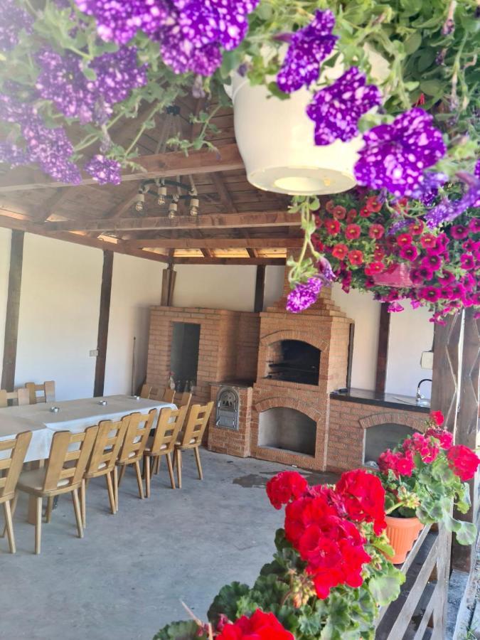 A-Frame Bucovina- Paradis Bucovinean Capu Cîmpului Dış mekan fotoğraf