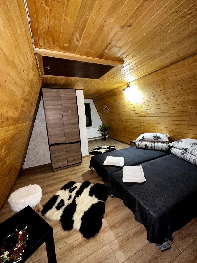 A-Frame Bucovina- Paradis Bucovinean Capu Cîmpului Dış mekan fotoğraf