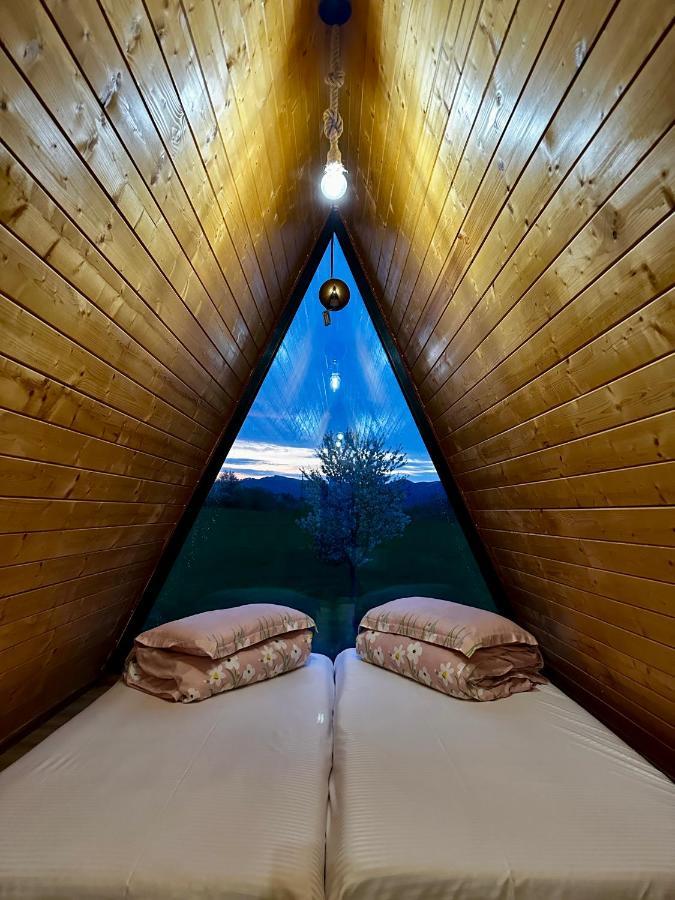A-Frame Bucovina- Paradis Bucovinean Capu Cîmpului Dış mekan fotoğraf