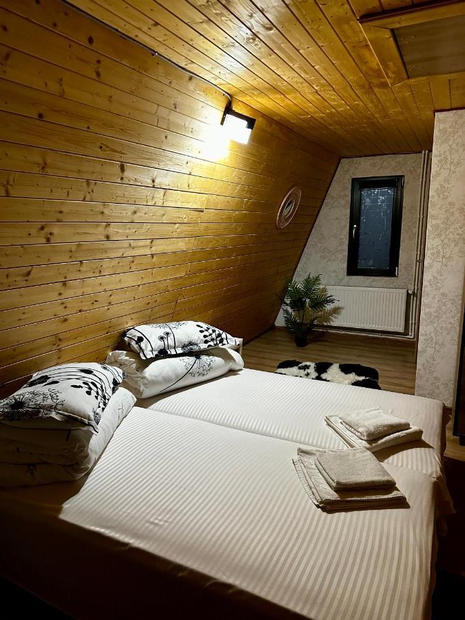 A-Frame Bucovina- Paradis Bucovinean Capu Cîmpului Dış mekan fotoğraf
