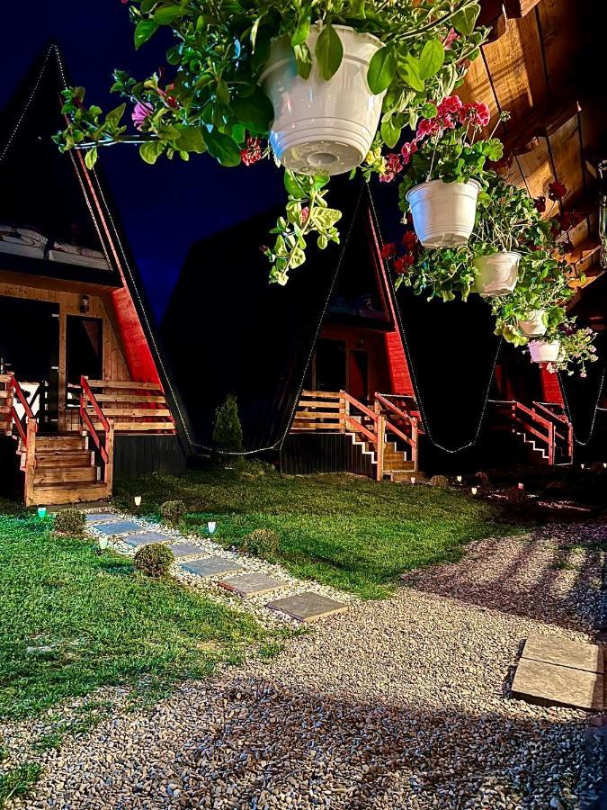 A-Frame Bucovina- Paradis Bucovinean Capu Cîmpului Dış mekan fotoğraf