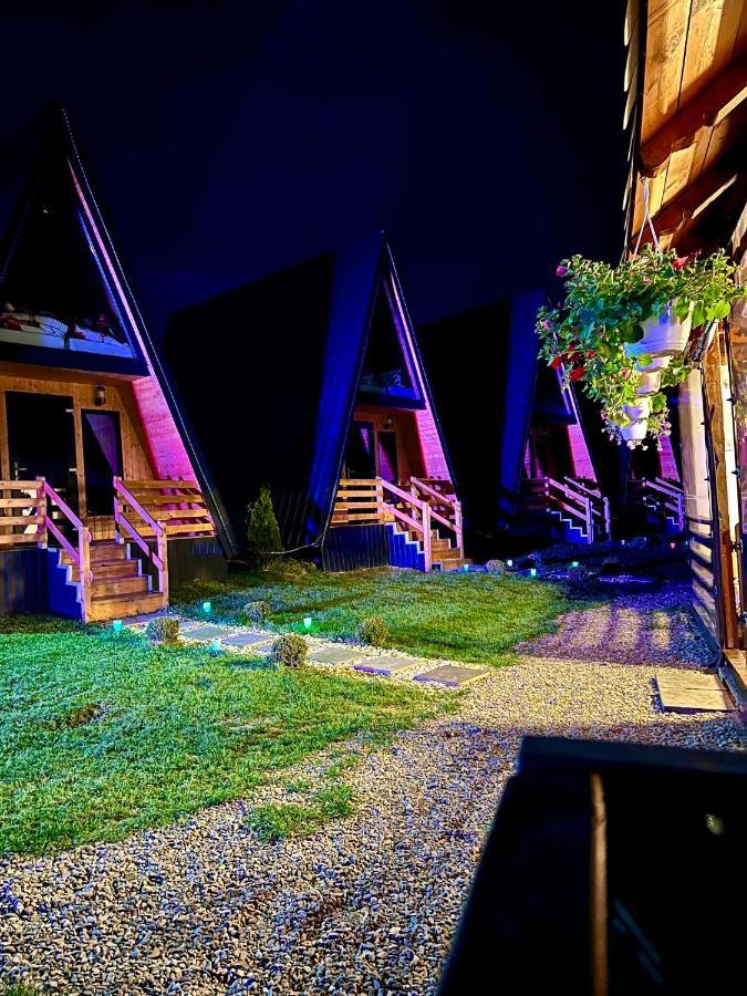 A-Frame Bucovina- Paradis Bucovinean Capu Cîmpului Dış mekan fotoğraf
