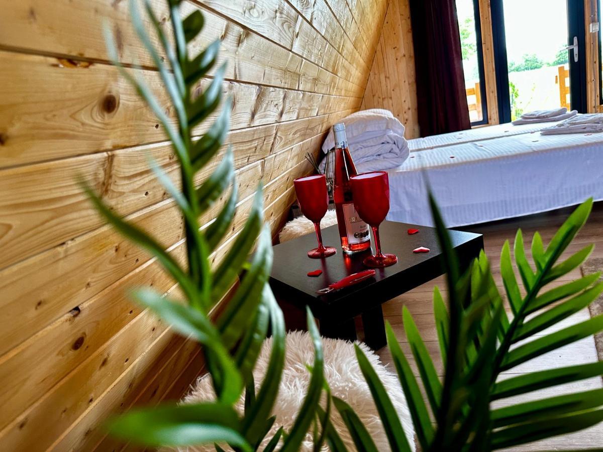 A-Frame Bucovina- Paradis Bucovinean Capu Cîmpului Dış mekan fotoğraf