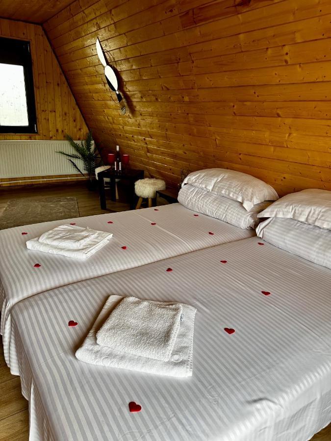 A-Frame Bucovina- Paradis Bucovinean Capu Cîmpului Dış mekan fotoğraf