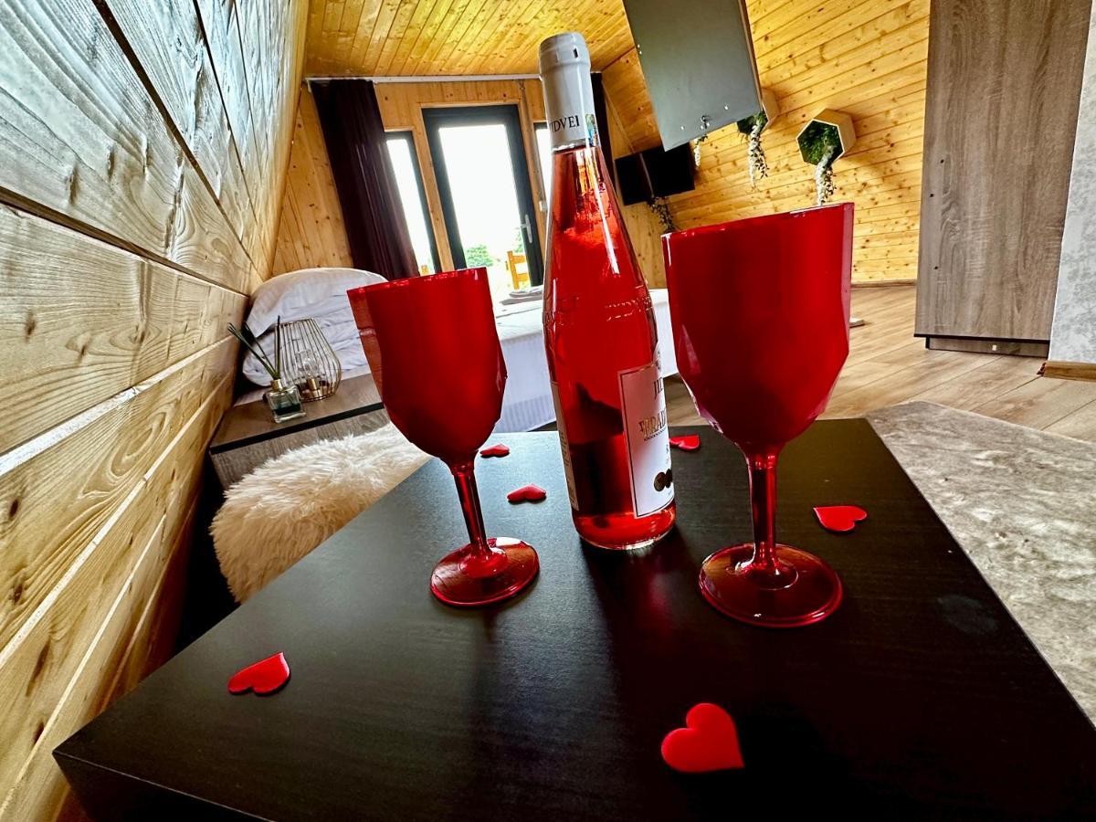 A-Frame Bucovina- Paradis Bucovinean Capu Cîmpului Dış mekan fotoğraf