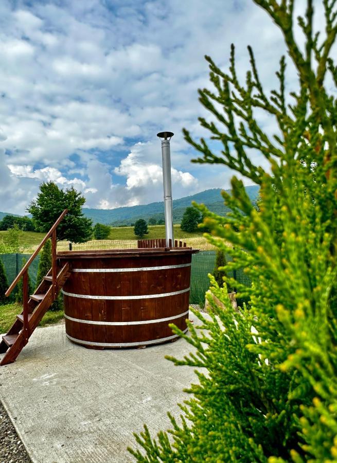A-Frame Bucovina- Paradis Bucovinean Capu Cîmpului Dış mekan fotoğraf